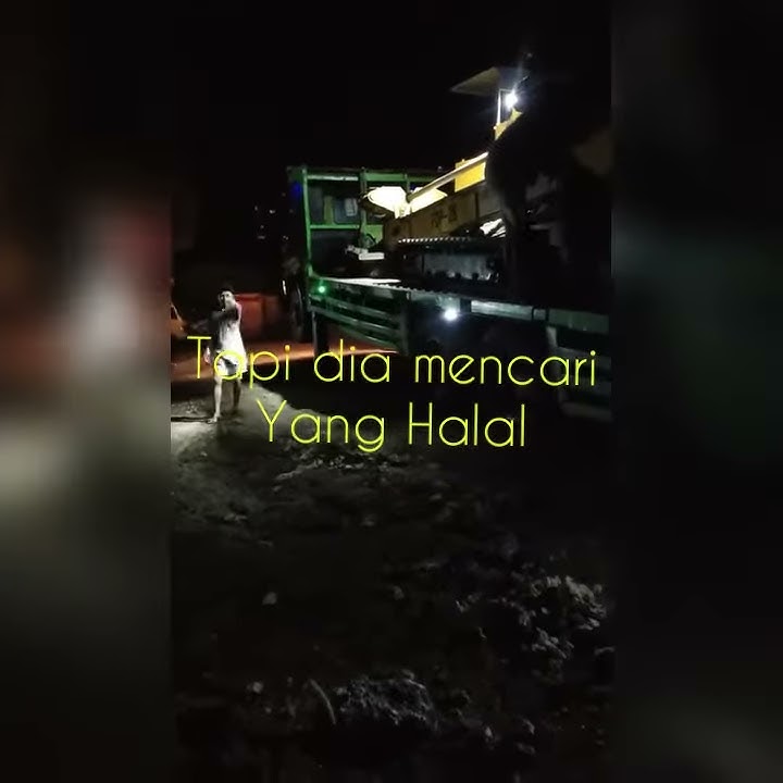 Story Wa seorang sopir