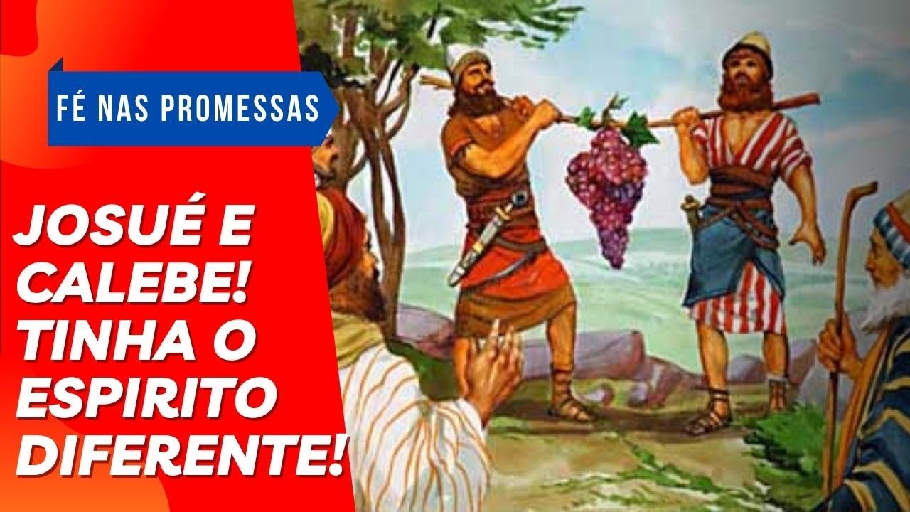 Porque Só Josué E Calebe Entraram Na Terra Prometida Versículo - RETOEDU