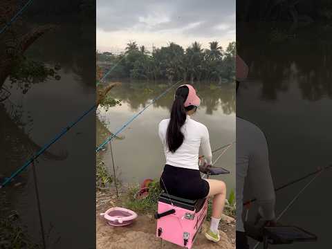 Câu cá sông tự nhiên P3 #cauca #fishing #caucathiennhien #cá #mayfishing
