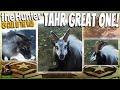 Another NEW GREAT ONE TAHR Variation Was Revealed! Call of the wild