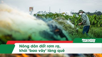 Nông dân đốt rơm rạ, khói ‘bao vây’ làng quê