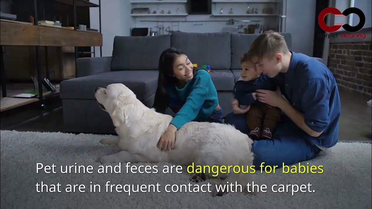 Can Dirty Carpets Give You Rashes YouTube