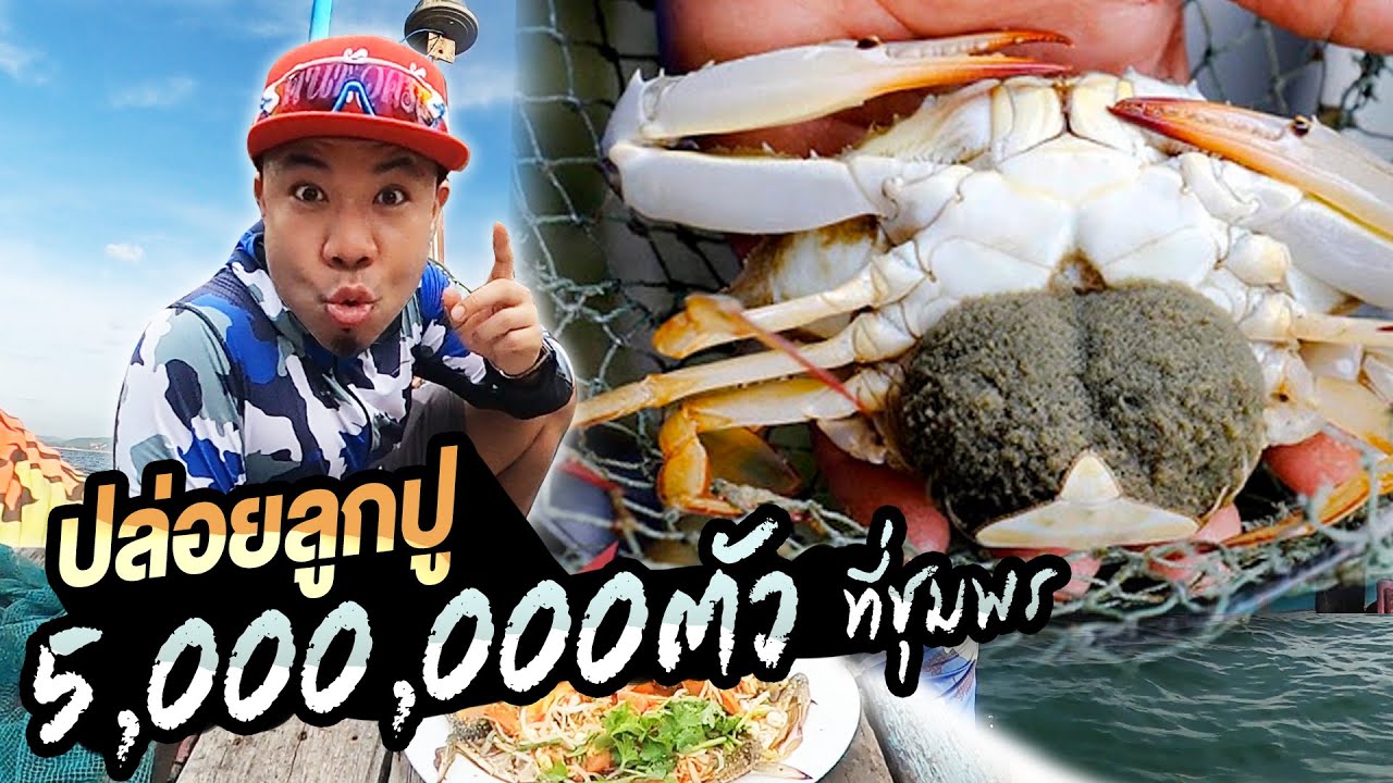 ปล่อยลูกปู 5,000,000ล้านตัว จังหวัดชุมพร!!!!