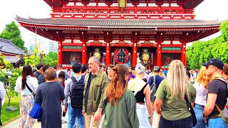[4K]  浅草神社の眺め。東京 . Walking tour Around Asakusa Shrine. Tokyo, Japan. April 2024