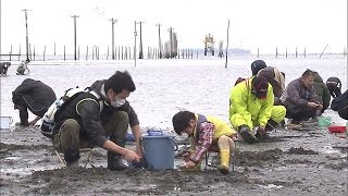 潮干狩りシーズン到来！　千葉・木更津市(15/03/21)