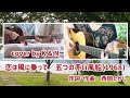 恋は風に乗って(五つの赤い風船)/cover by K & N