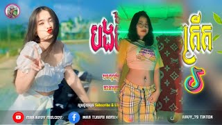 Remix 2024💥បទល្បីក្នុងTik_Tok🐉🎭[បទវៃឡើងកក្រើក]💗🍃Remix Tik_Tok New 2024