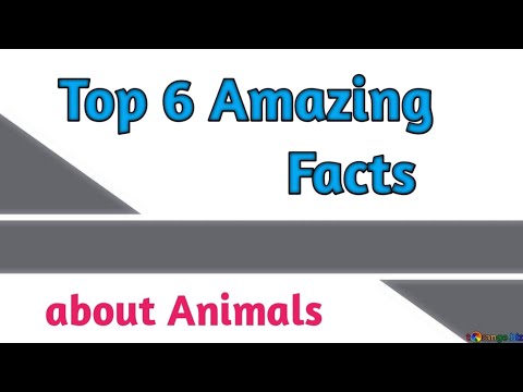 Amazing facts ! Interesting facts ! fun facts @light your ways - YouTube