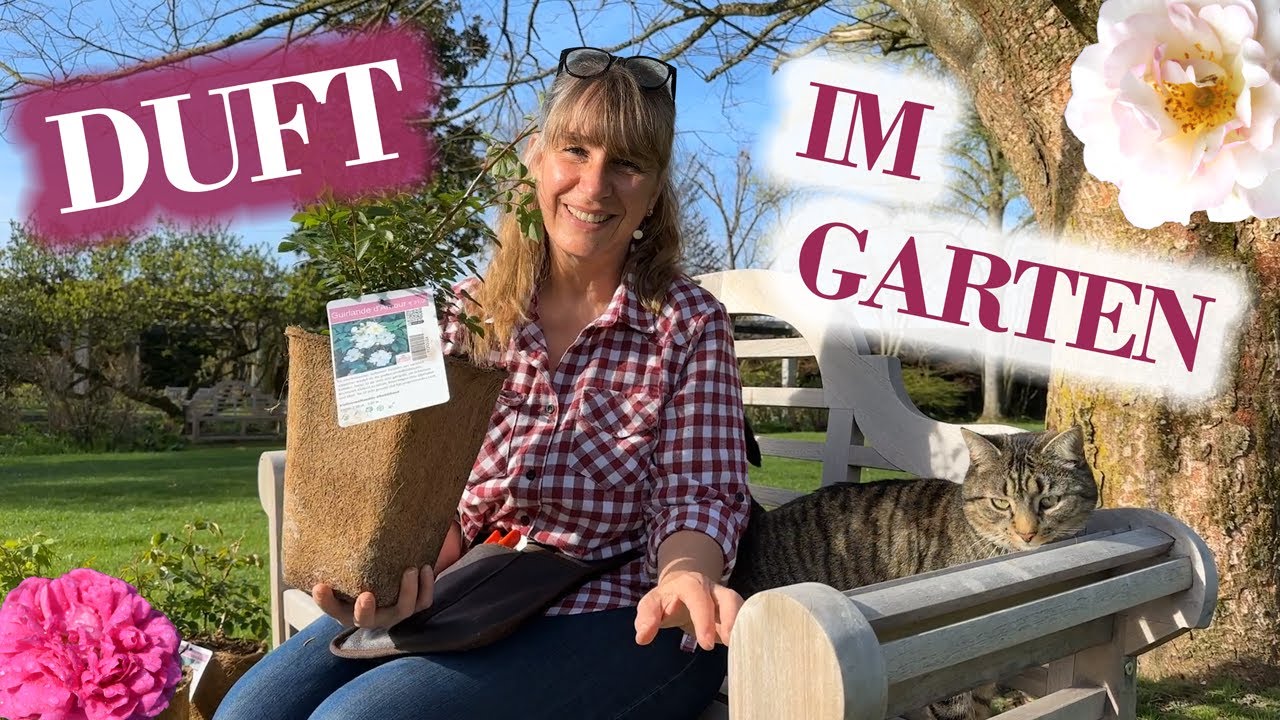 DUFTENDE Rosen für Eure GÄRTEN, Balkone und Terrassen mit Duftnoten