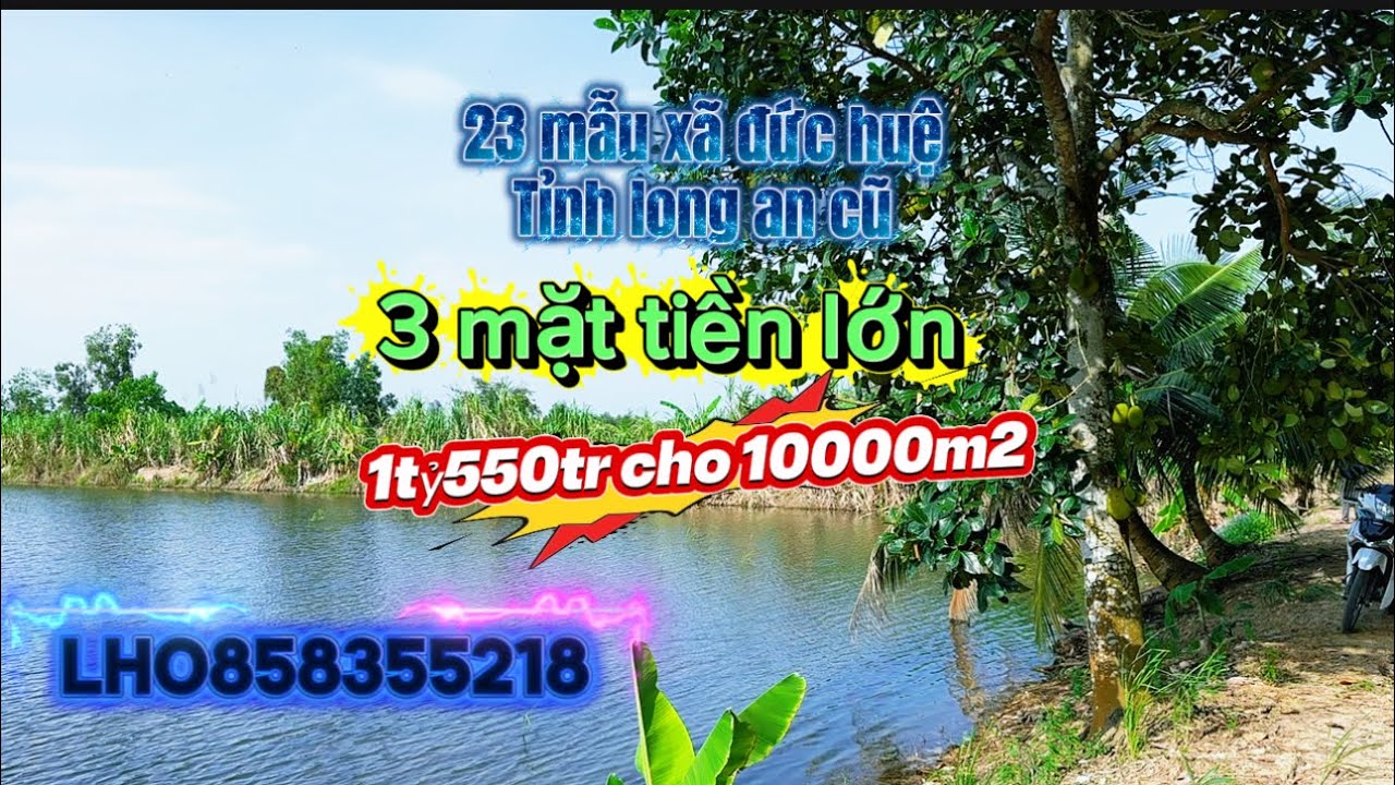 22 mẫu xã đức huệ tinh Long An 3 mặt tiền 1tỷ550tr cho 1 mẫu lh0858355218