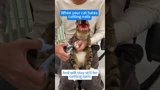 Have you ever seen a dinosaur cutting nail