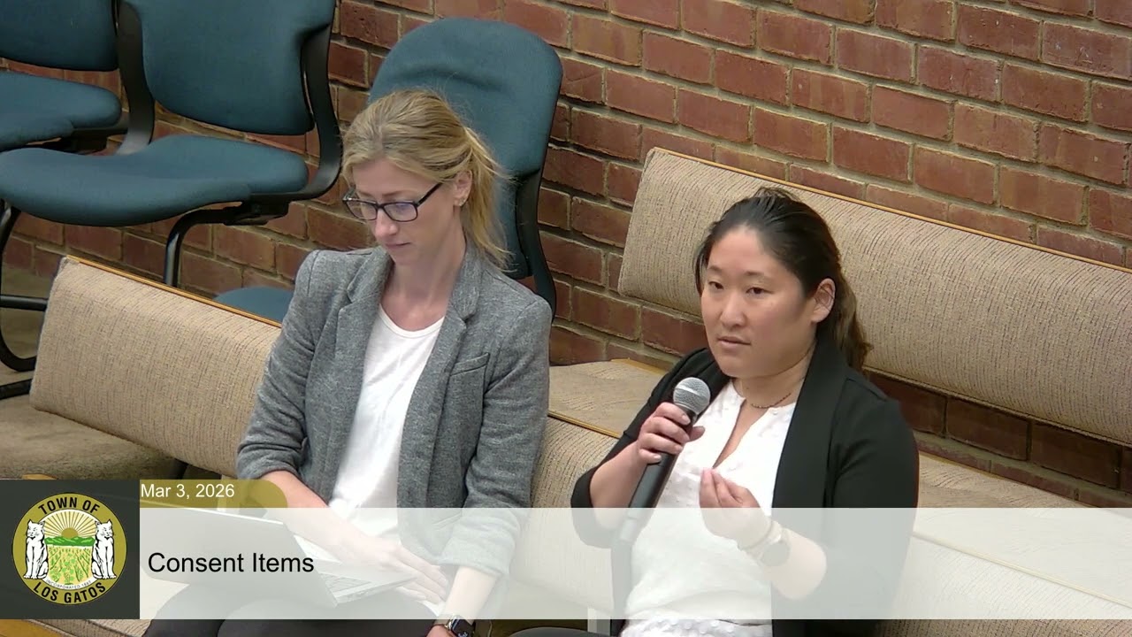 Town Council Meeting / March 3, 2026 / 7:00 PM