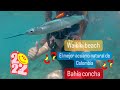 El Mejor Acuario natural de Colombia/ Waikiki beach /Bahía concha/#tayrona  #santamarta  #magdalena