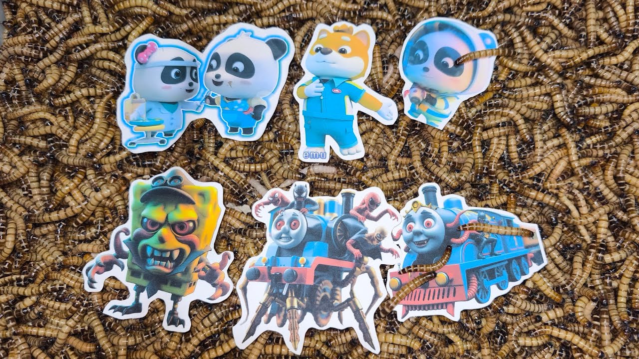 Experiment Eps 1 : Mealworm Vs babybus 