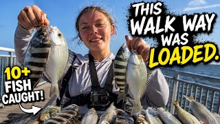 This walkway was loaded! #jesus#lilysoutdoors#fishing#vlogs#blowup#viralvideo#shrimp#challenge#fyp