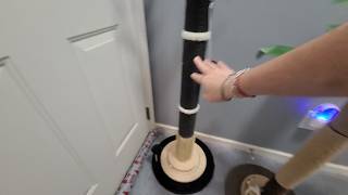 Palm Leaf vs Gothic Cat Tree Honest Review Winner