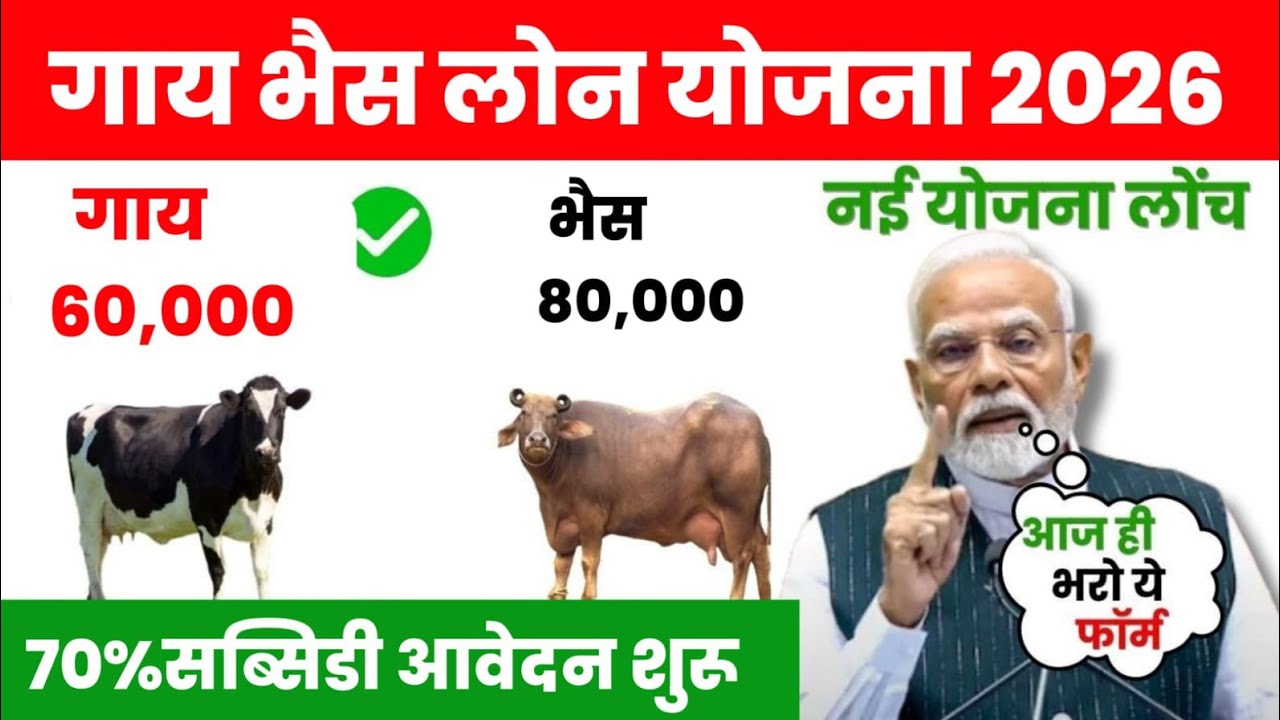 Animal Husbandry Loan Scheme 2026 | How to apply for cow buffallow loan| pashupalan loan scheme 2026