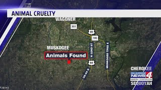 Animal cruelty case in Muskogee