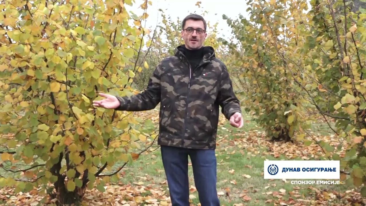 TV Informator  - PROIZVODNJA LESNIKA U TEOCINU 5 DEC 2024