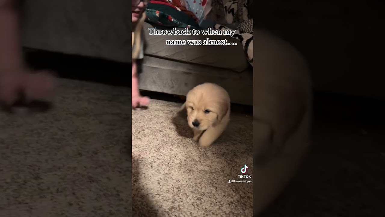 Baker baby was almost named  🥞 pancake 🥞