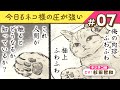 【マンガ動画】キジネコ様(CV:杉田智和)の肉球|『今日もネコ様の圧が強い』(7)【漫画】ボイスコミック