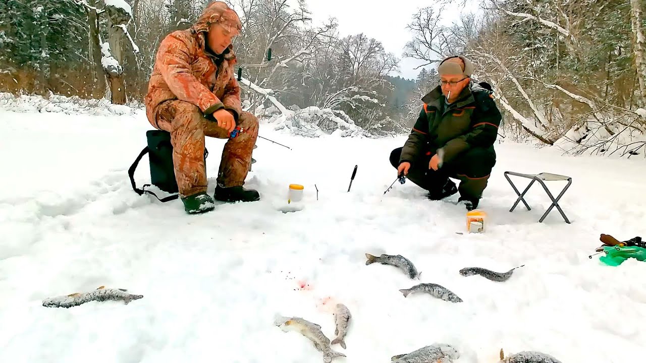 Рыбалка подледка. Ловля ленка из подо льда. Ловля ленка зимой. Хариус подо льдом видео. Река ленка
