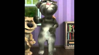 Download lagu Kucing lucu bahasa banjar Kucing lucu bahasa banjar