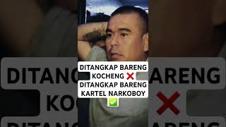 DITANGKAP BARENG KOCHENG ❌ DITANGKAP BARENG KARTEL NARKOBOY ✅ #kucing #oren #kucinglucu  #shorts