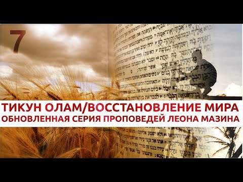 Вопрос: У вас нет ощущения что мы в слугах у кошек?