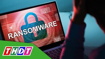 Việt Nam hứng chịu 80 vụ tấn công mã độc tống tiền mỗi ngày | THDT