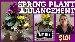 Spring Plant Arrangement | Making Grapevine Wreath | NATURE INSPIRED!