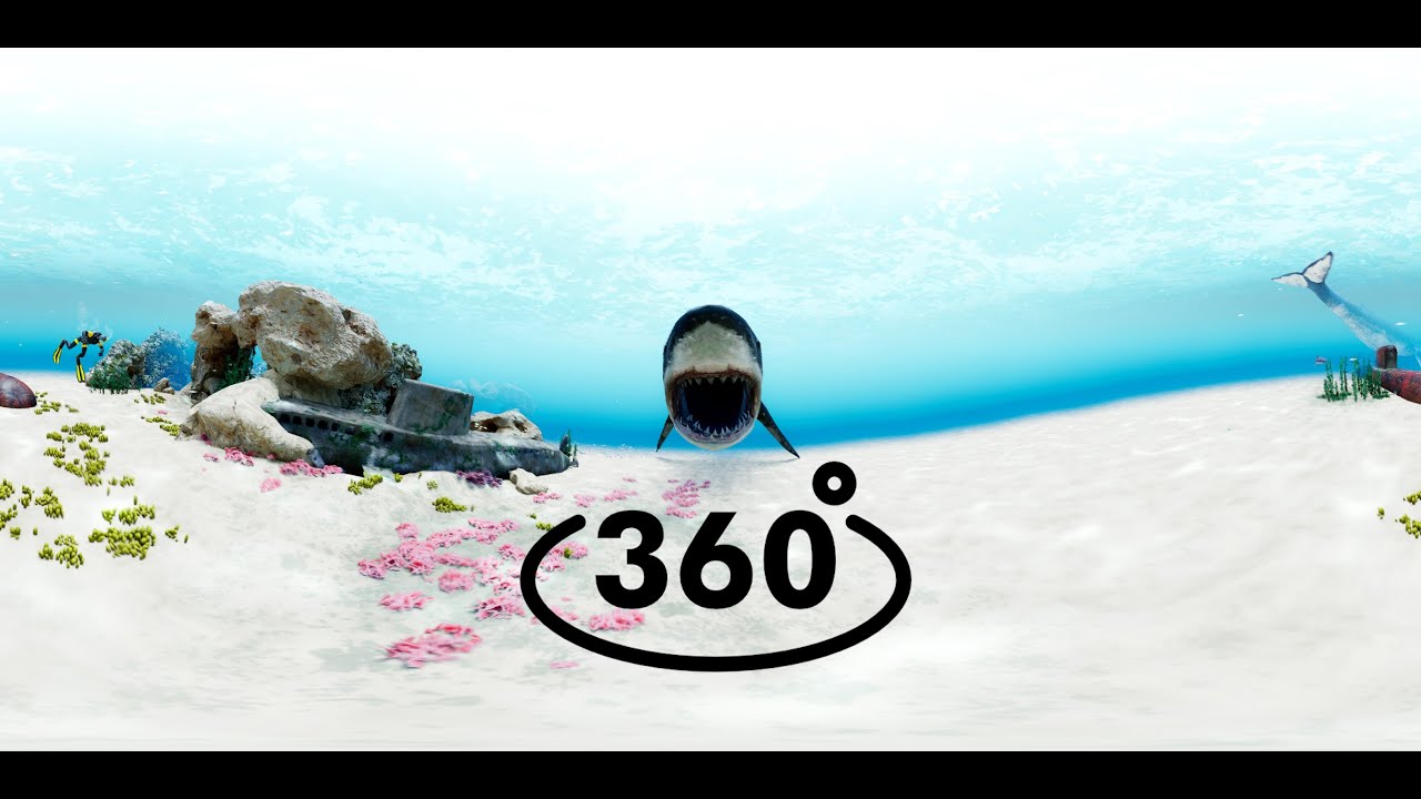 Under water experience