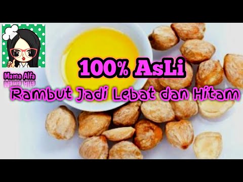 Cara Membuat Minyak Kemiri Untuk Bayi