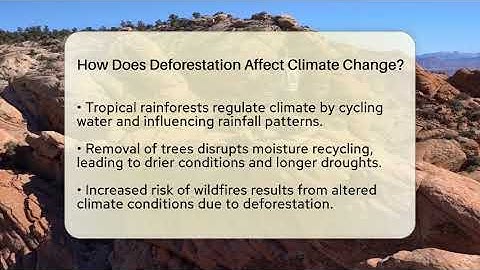 How Does Deforestation Affect Climate Change? - Ecosystem Essentials