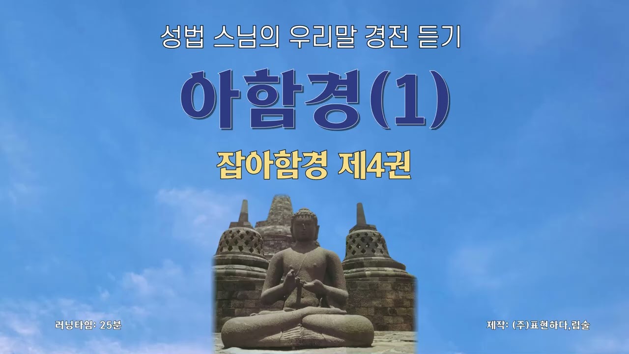 경전 화엄경 잡아함경 오디오북 낭독