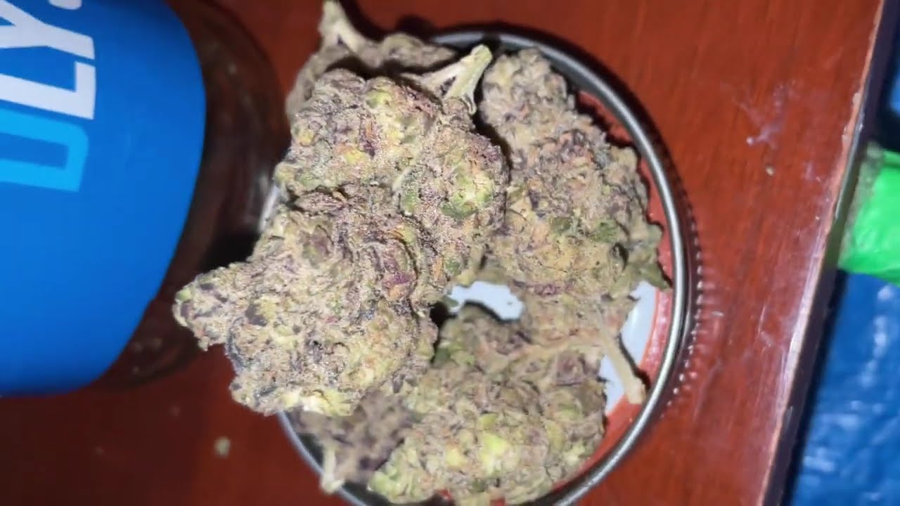 DLYS-ARTISANS (eye candy)