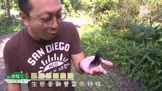 大自然綠色旅行1 宜蘭三富休閒農場