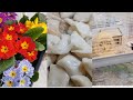 Леплю вареники, пробую мочи,крыса и хомяк в новых клетках #блог #батуми #мукбанг #лайфхаки #вареники