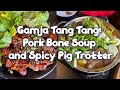 FOOD VLOG: Gamja Tang Tang Korean Pork Bone Soup 감자탕 and THE BEST Bul Jokbal 족발 in North New Jersey