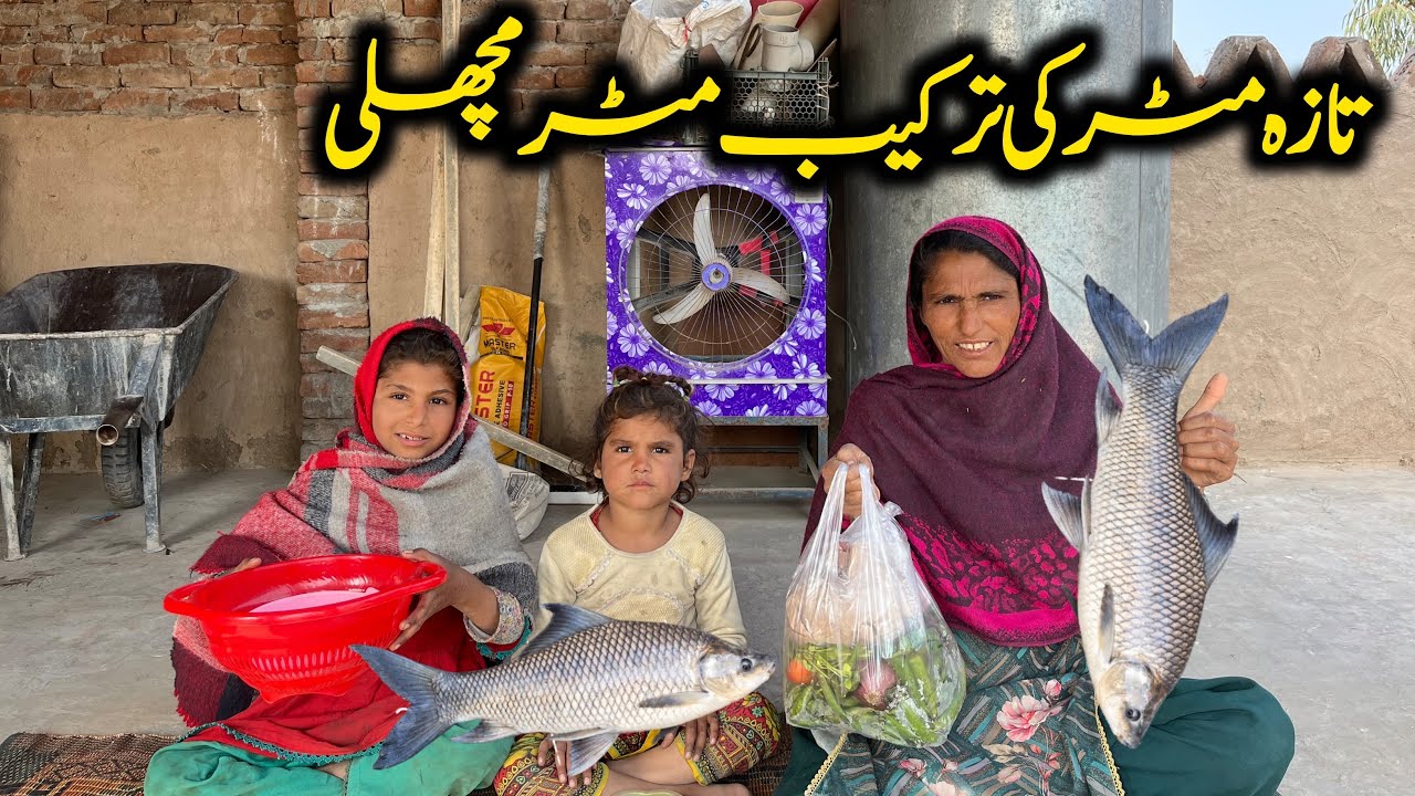 fish matar recipe Fish Fry Fish Tawa Fry Fish Recipe poor family mad house life
