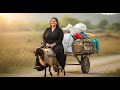 Fat Women Riding Sheep سيدة تركب الخروف Fat Women Riding Sheep سيدة تركب الخروف