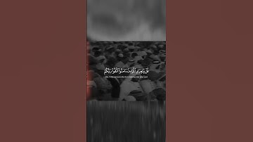 محمد أيوب سورة الزمر تلاوه خاشعه #القرآن #اكسبلور