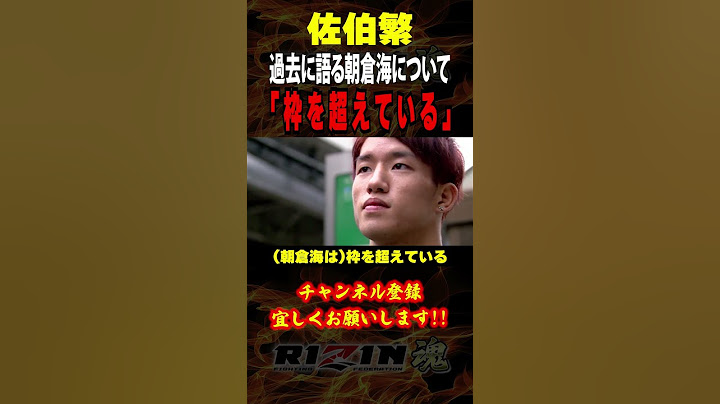 【佐伯繫】「枠を超えている」過去に語る朝倉海、アウトサイダー選手について / エピソード３ / UFC310 / フライ級タイトルマッチ /『アレッシャンドリ・パントージャ vs. 朝倉海 』