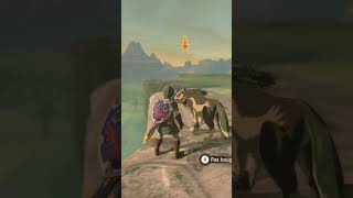 Link Loup: il peut descendre les falaises Link Loup: il peut descendre les falaises