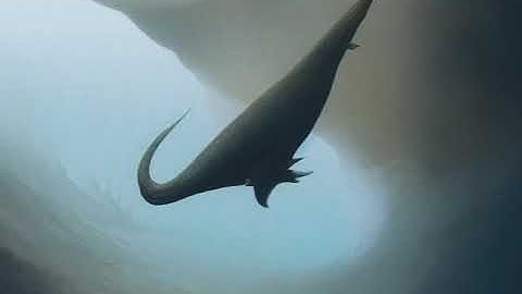 Creatures of the Sea - Stable Diffusion Animation using Automatic1111 Deforum extension + FlowFrames