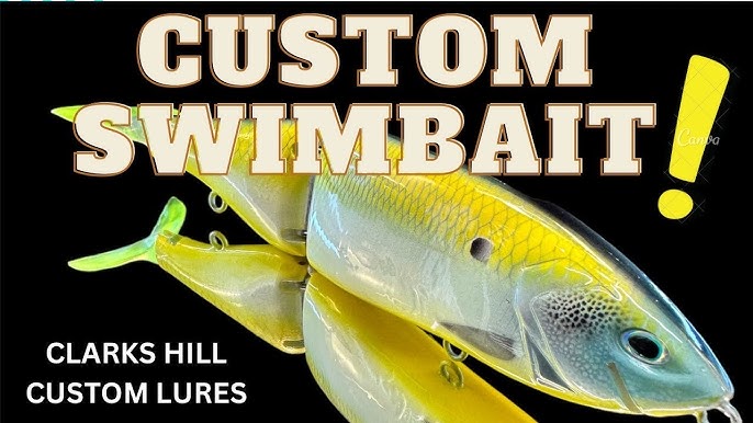 Customize Your Lures Like A Pro: Painting Techniques Revealed “ 