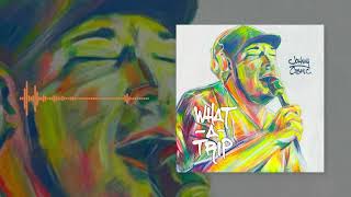 Johnny Cosmic - What A Trip (Official Audio) Wealth