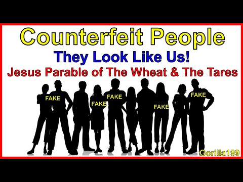 Counterfeit Humans Jesus Parable Of The Wheat And The Tares Gorilla199