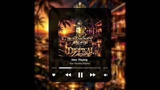 Tropical Desire 1 🌴❤️‍🔥 | Romantic Afrobeats 2027 Type Beat | Boss Money Beats