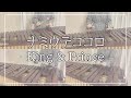 【耳コピ】ナミウテココロ / King &amp; Prince【マリンバ弾いてみた】